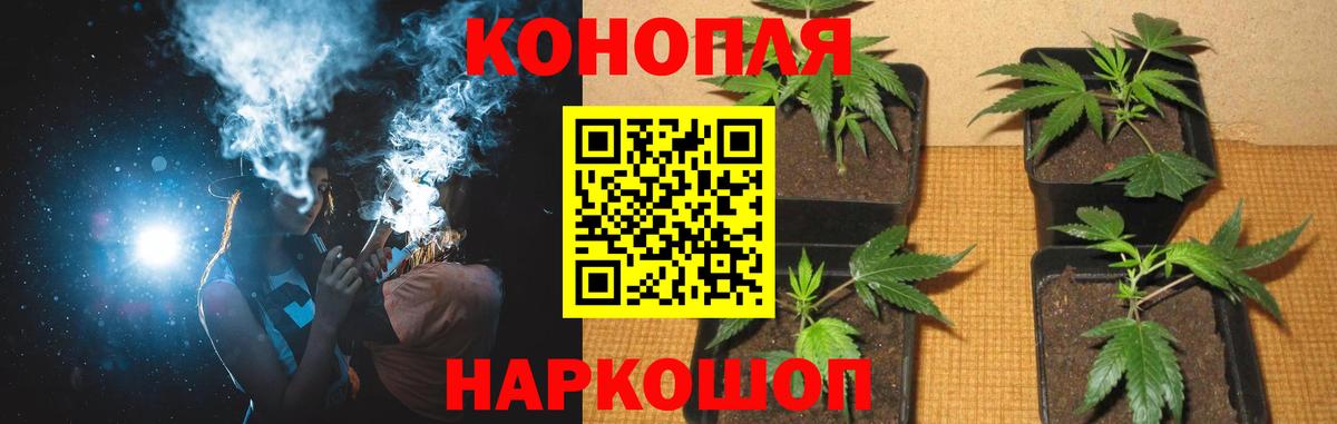 Бошки Шишки тримм  Каннабис White Widow  Бошки марихуана White Widow  Конопля марихуана  Вход с VPN  Дедовск 
